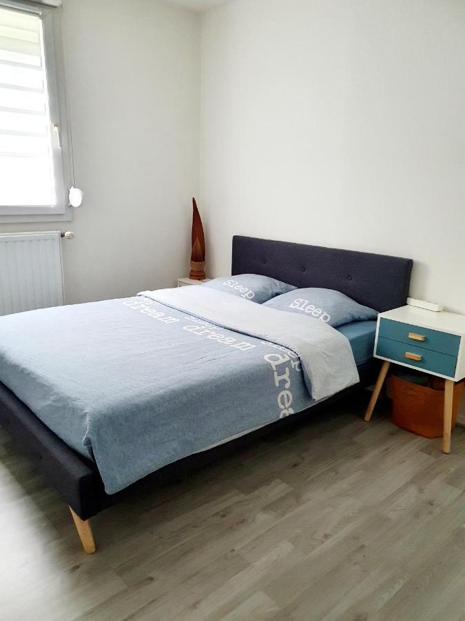 Bel Appartement Cosy Štrasburk Exteriér fotografie